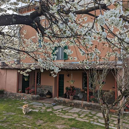 Hotel Dimora Marella Patrica - Frosinone Exteriér fotografie