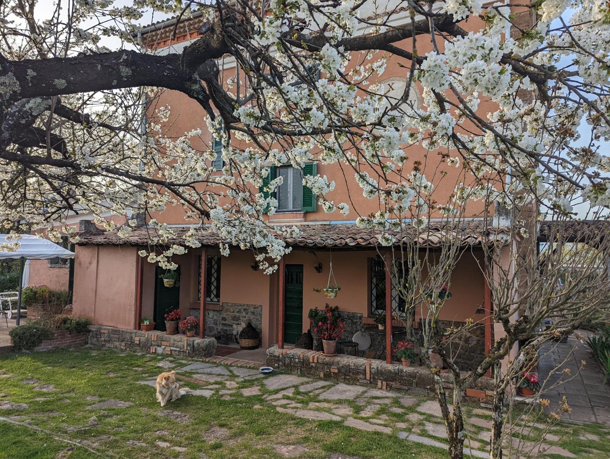 Hotel Dimora Marella Patrica - Frosinone Exteriér fotografie