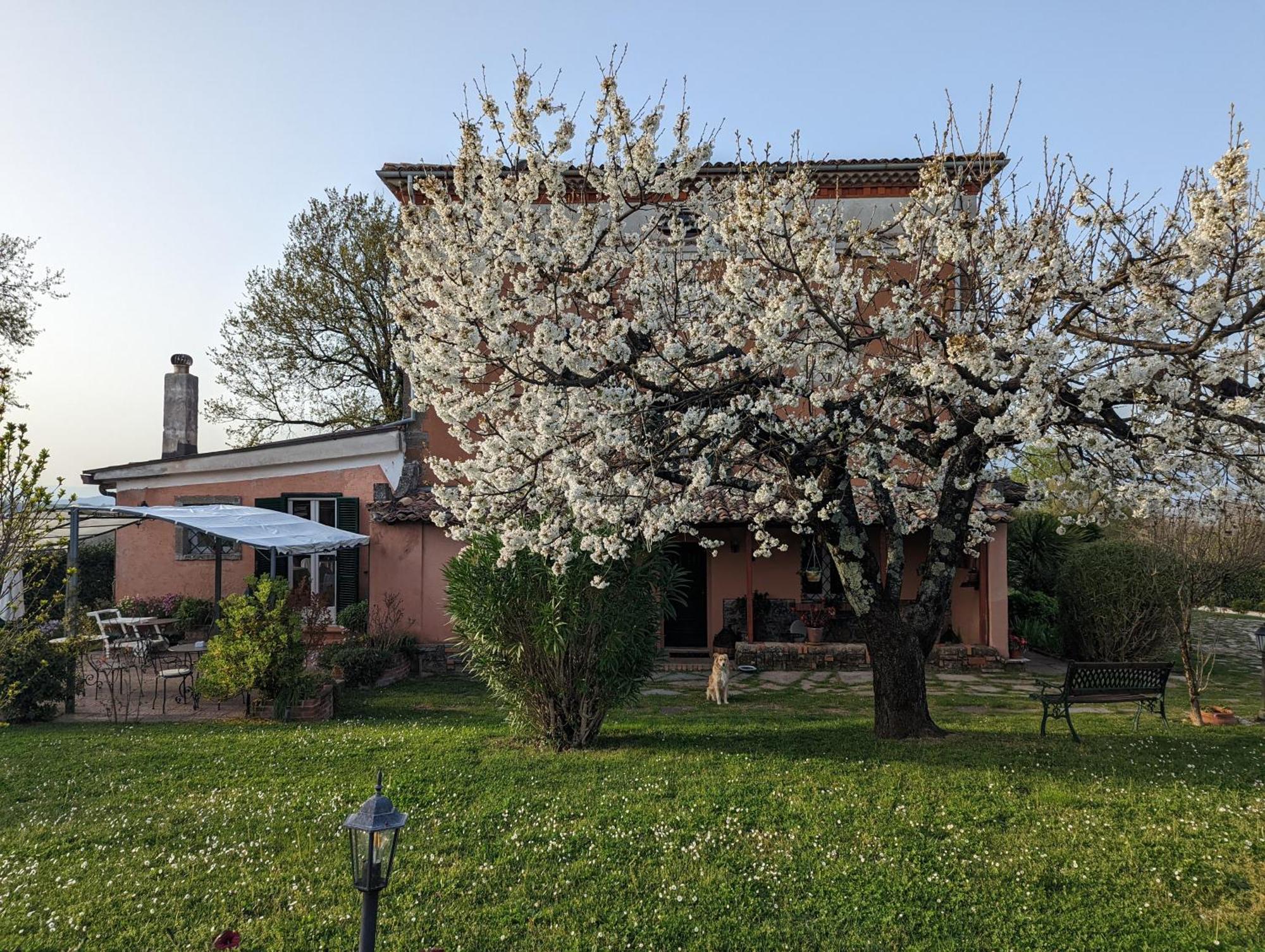 Hotel Dimora Marella Patrica - Frosinone Exteriér fotografie